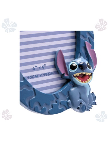Marco de fotos Stitch