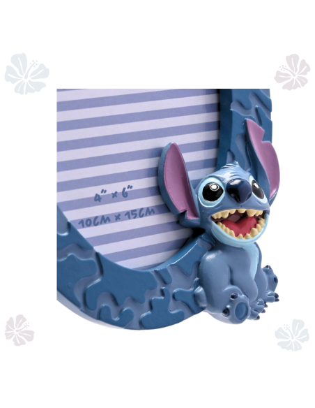 Marco de fotos Stitch