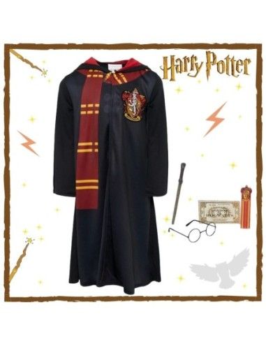 Disfraz Harry Potter