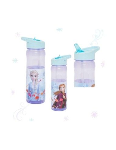 Bolsa Térmica Reversible con Botella Frozen