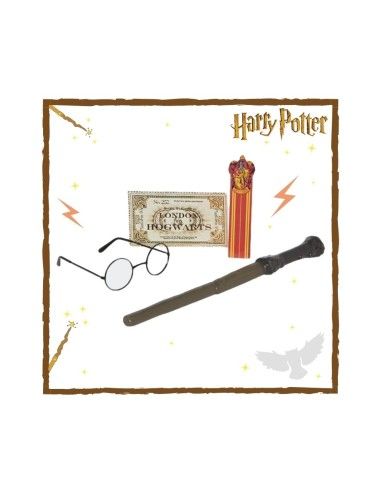 Disfraz Harry Potter