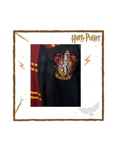 Disfraz Harry Potter